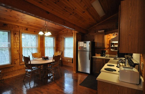 Townsend Cabin | Laurel Mist, A Family Sized Nature Lovers Retreat!