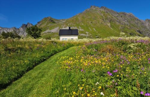 Vestvagøy House | Lauvåsstua-Charming house by the sea