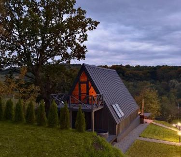 Mykolaiv Ski Chalet | Lav inn Polyanna Простір