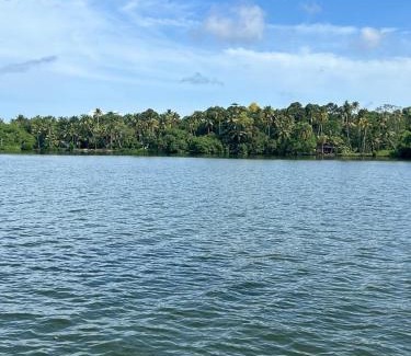 Thekkumbhagam Resort | Lavilla Lake Resort And Restaurant