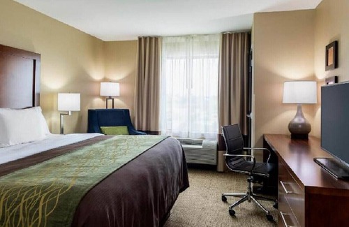 Rochester House | Lavish King Experience! Indoor Pool W/ Hot Tub