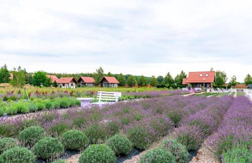 Ustka House | Lawendowy Zakątek Machowino- Domek Grosso