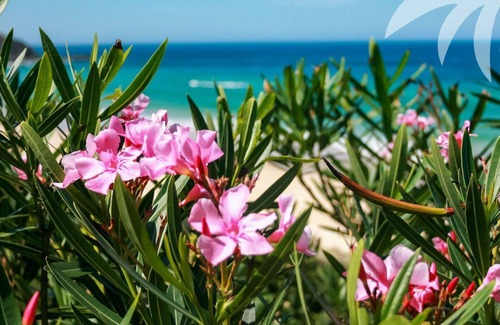 Blueys Beach Apartment | Lawsons at Blueys - Pacific Palms Holidays