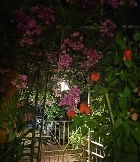 Querim House | Laxmi Happy Home in Querim Goa