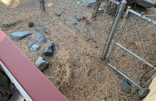 Wrightwood Cabin | LBL · 1250sqft/WIFI/SmartTV/firepit/King&3Queens