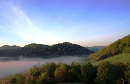 Solina Ski Chalet | Leśny Dworek 1