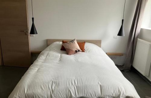 Hotton House | Le beau petit bosquet