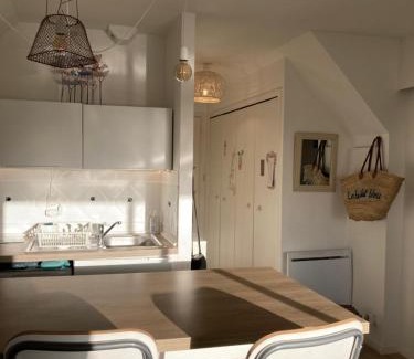Carnac Apartment | Le Bulot Bleu *Terrasse couverte *Parking *2 vélos