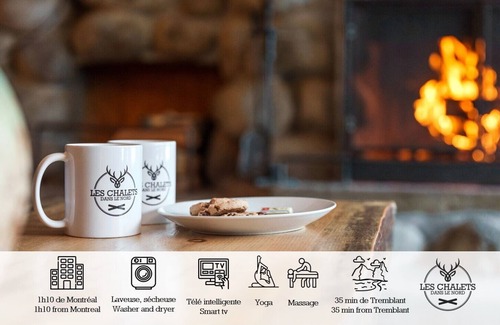 Sainte-Lucie-des-Laurentides Ski Chalet | ☀️ Le1605 - Spa and Beach - Chalets in the north ☀️