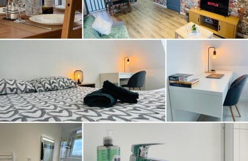 Loudeac Apartment | Le Cactus - Blow Résidences