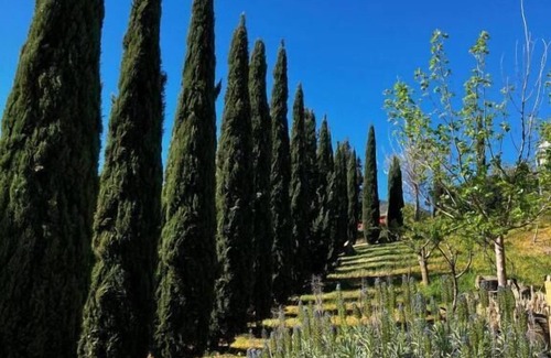 Sclafani Bagni Other | Le Case di Cardellino - AgriSpa