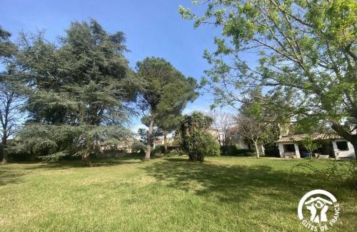 Latour-Bas-Elne House | Le cedre du parc de la dame
