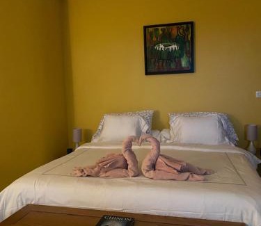Chinon Apartment | Le Charles VII - VIENNE