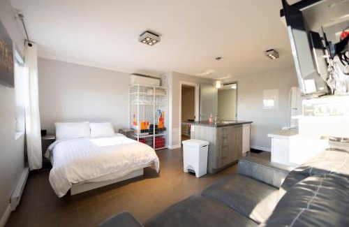 Rouyn-Noranda Apartment | Le Chic-Urbain