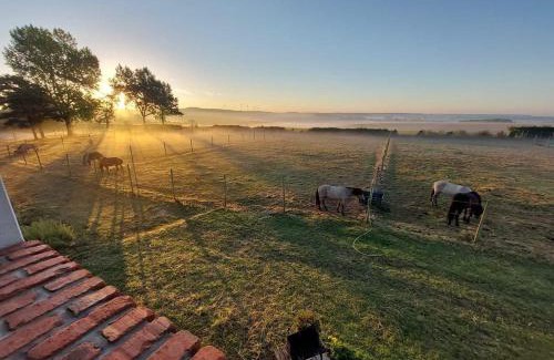 Caffiers House | Le Clos de l'Angley Gîtes et Écurie