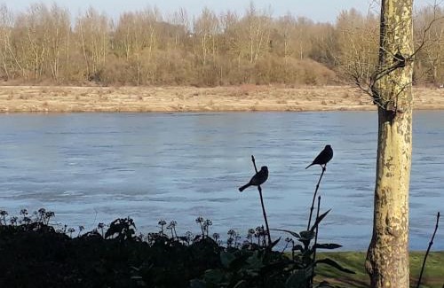 Saint-Dye-sur-Loire Bed & Breakfast | Le Clos Joséphine