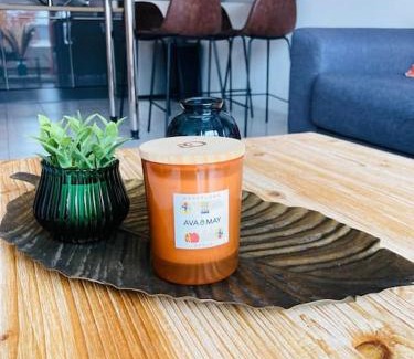 Saint-Jacques-de-la-Lande Apartment | Le Cocoja, Beau T2 - Saint Jacques de la Lande