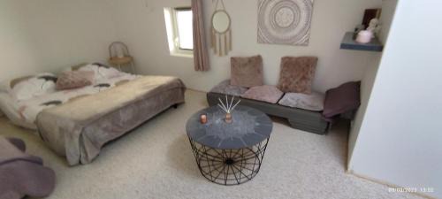 Montredon-des-Corbieres Apartment | Le cocoon de Christelle