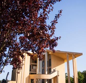 Cassino Bed & Breakfast | Le Colonne