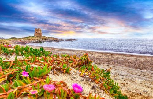 Torre di Bari Apartment | Le Corti Sarde Beach Apartments