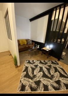 Mont-de-Marsan Apartment | Le cosy de Tom
