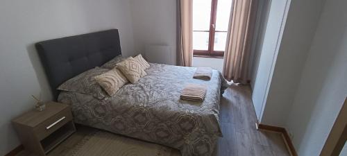 Clermont-Ferrand Apartment | Le Cosy Montferrandais