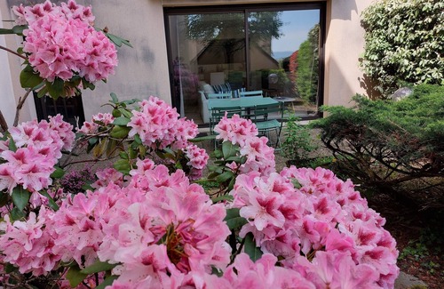 Rodez Apartment | Le Denys Puech 55m² + terrace in the heart of town