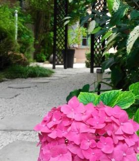 Beaumont-de-Lomagne Apartment | Le Despeyrous gite en ville