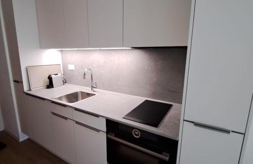 Ovronnaz Apartment | Le Flocon Studio in Ovronnaz close to the baths