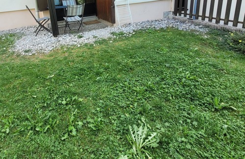 Les Rousses Apartment | Le Flocon Superbe Appartement 5 Personnes aux Rousses en Rez de Jardin 🌲