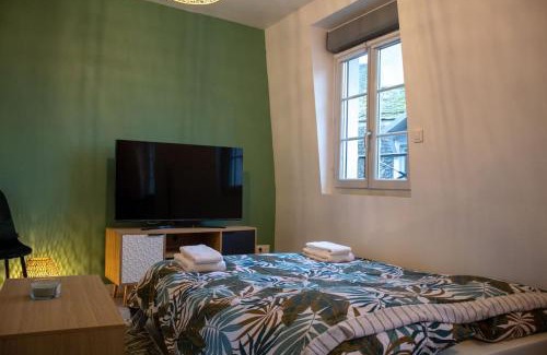 Mende Apartment | Le Fontaine - Hyper Centre - Vue Cathédrale - Wifi