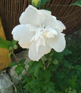 Sainte-Croix-de-Quintillargues Bed & Breakfast | Le clos des olivettes