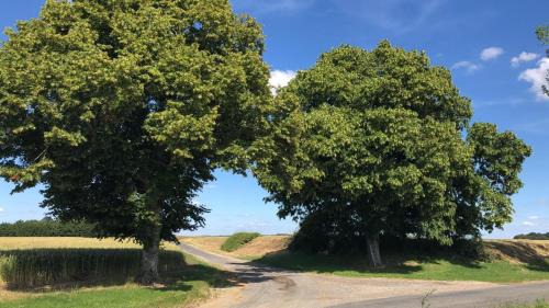 Chemille-sur-Deme Apartment | Le gîte de Ballage
