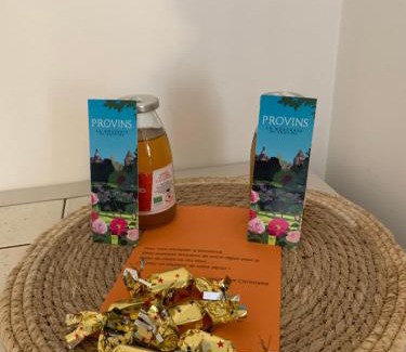 Provins Apartment | Le gîte entre val et rose