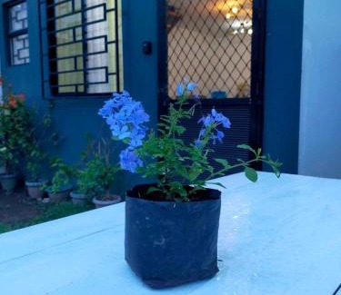 San Pablo House | Le Grande Bleu
