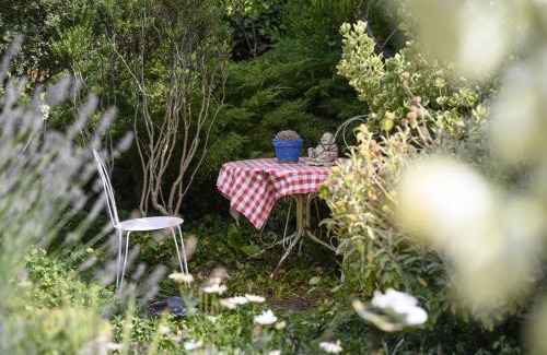 La Chapelle-aux-Choux Apartment | Le Jardin Yuccas - Cosy cottage in the Loir& Loire Valleys