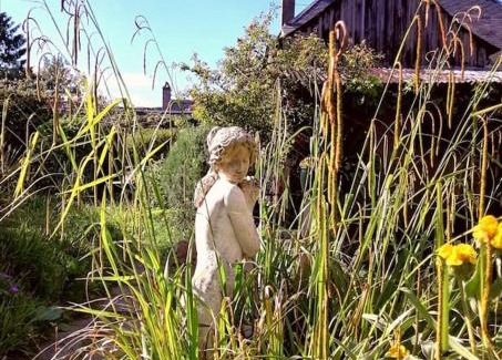 La Chapelle-aux-Choux Apartment | Le Jardin Yuccas - Cosy cottage in the Loir& Loire Valleys