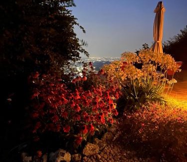 Villa d'Alme Bed & Breakfast | LE LANTERNE