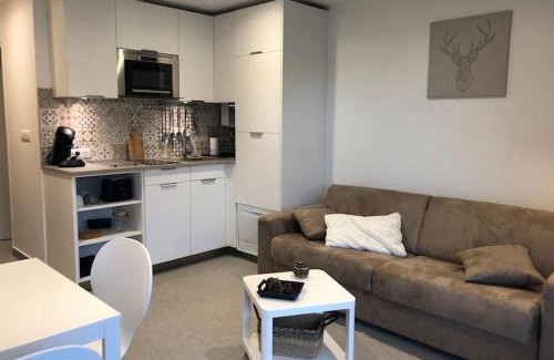 Laveissiere Apartment | Le Lioran, La Sumène, Studio balcon tout confort aux pieds des pistes