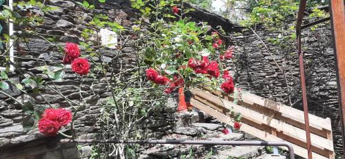 Sablieres House | Le MàS du Plot