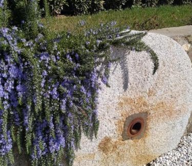 Lastra a Signa House | Le Macine di San Salvadore