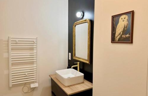 Courlancy Apartment | Le Manoir des Sortilèges à Reims