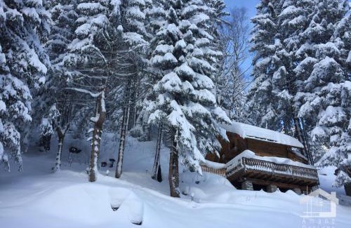 Argentiere Ski Chalet | Le Mazot de la Fis