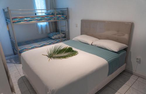 Pa'ofa'i Apartment | Le MEHERIO