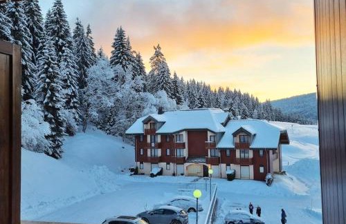 Mijoux Apartment | Le Montagnard