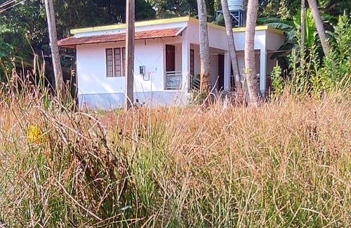 Munroe Island House | Le Moon