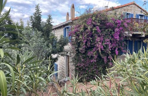 Figari House | Le moulin de Figari