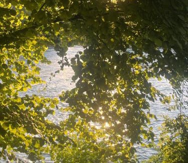 La Celle-sous-Gouzon Bed & Breakfast | Le moulin de Sauvage
