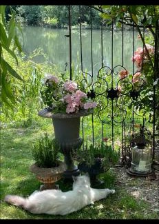 La Celle-sous-Gouzon Bed & Breakfast | Le moulin de Sauvage
