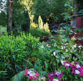 Lassy Bed & Breakfast | Le Moulin du Bignon
